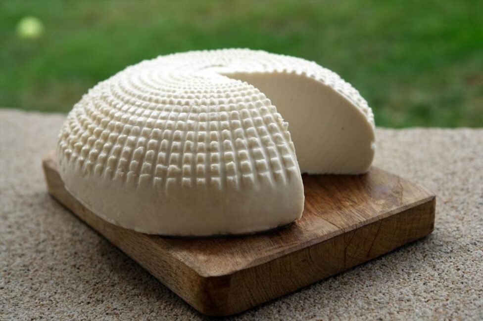 Mrożenie twarogu do celów kulinarnej wygody